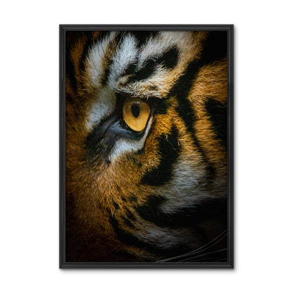 Tiger Eyes Large Wall Art