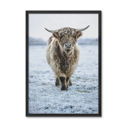 Winter Highland Cow Wall Art