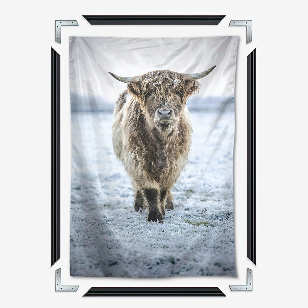 Winter Highland Cow Wall Art