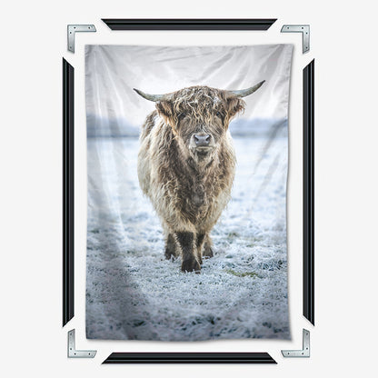 Winter Highland Cow Wall Art