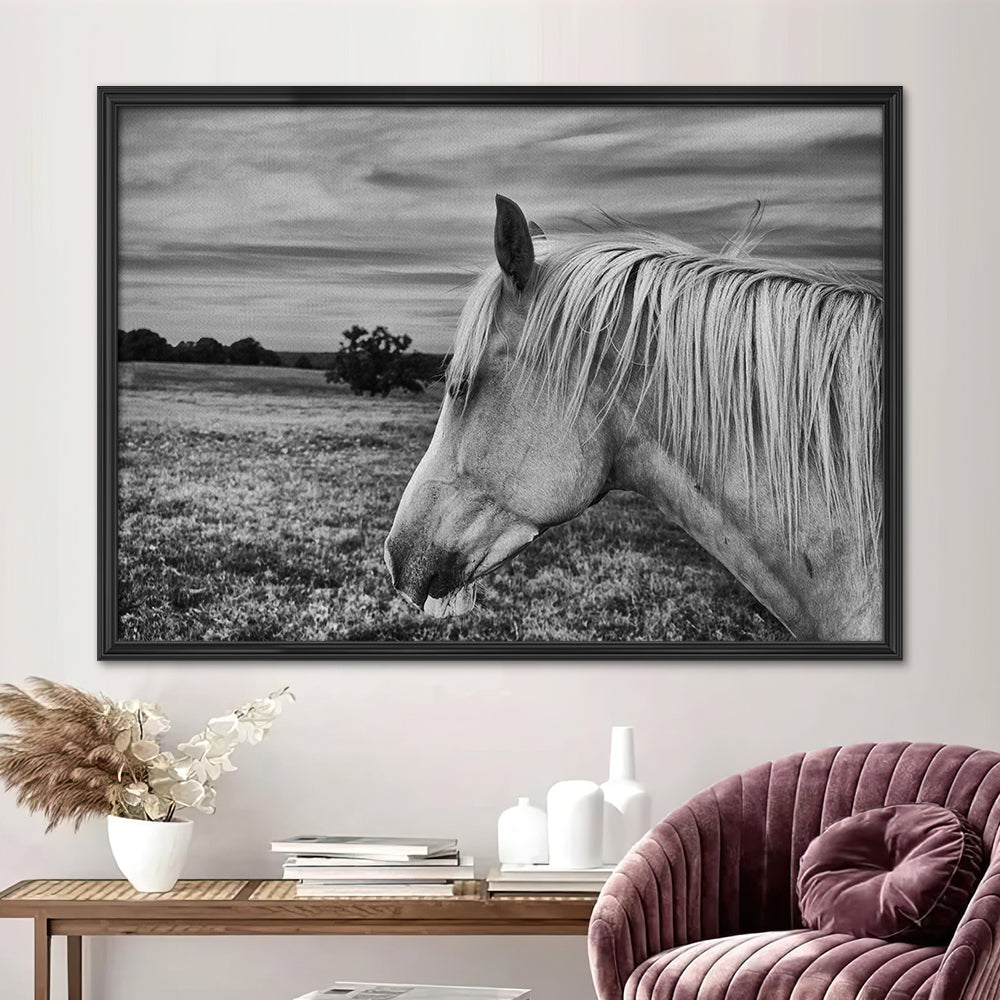 Black White Horse Wall Art
