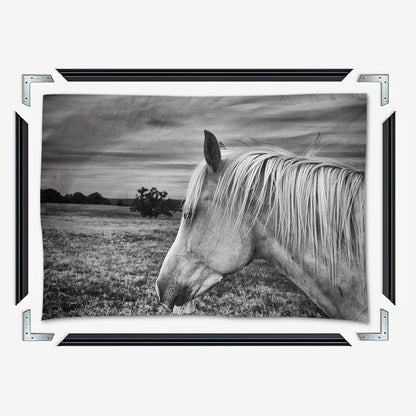 Black White Horse Wall Art