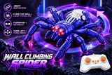 Purple Spider