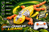 Yellow Gecko