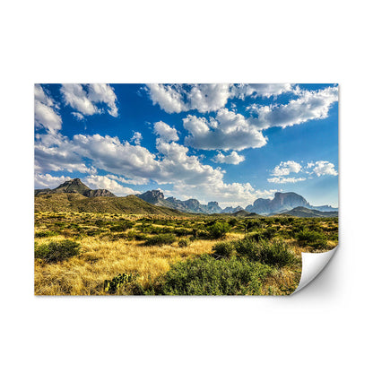 Big Bend National Park Wall Art