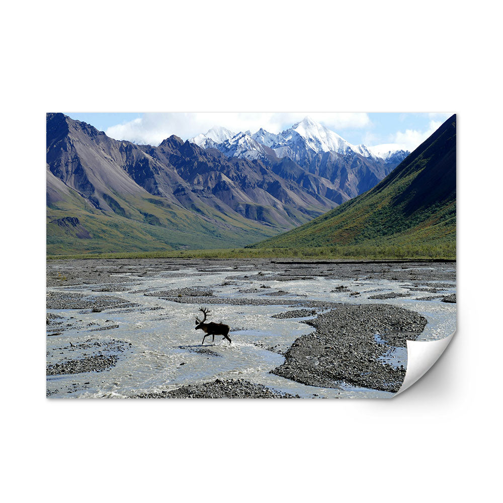 Denali National Park and Preserve Wall Art