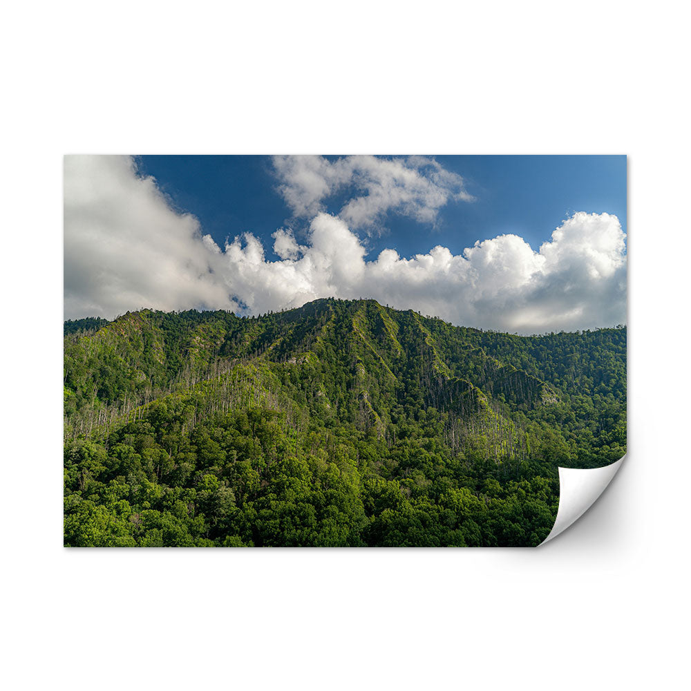 Great Smoky Mountains National Park Wall Art