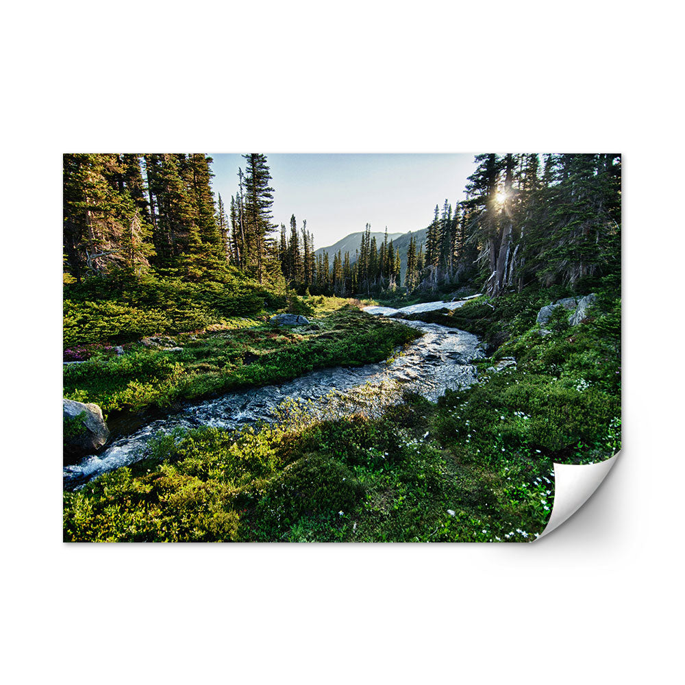 North Cascades National Park Wall Art