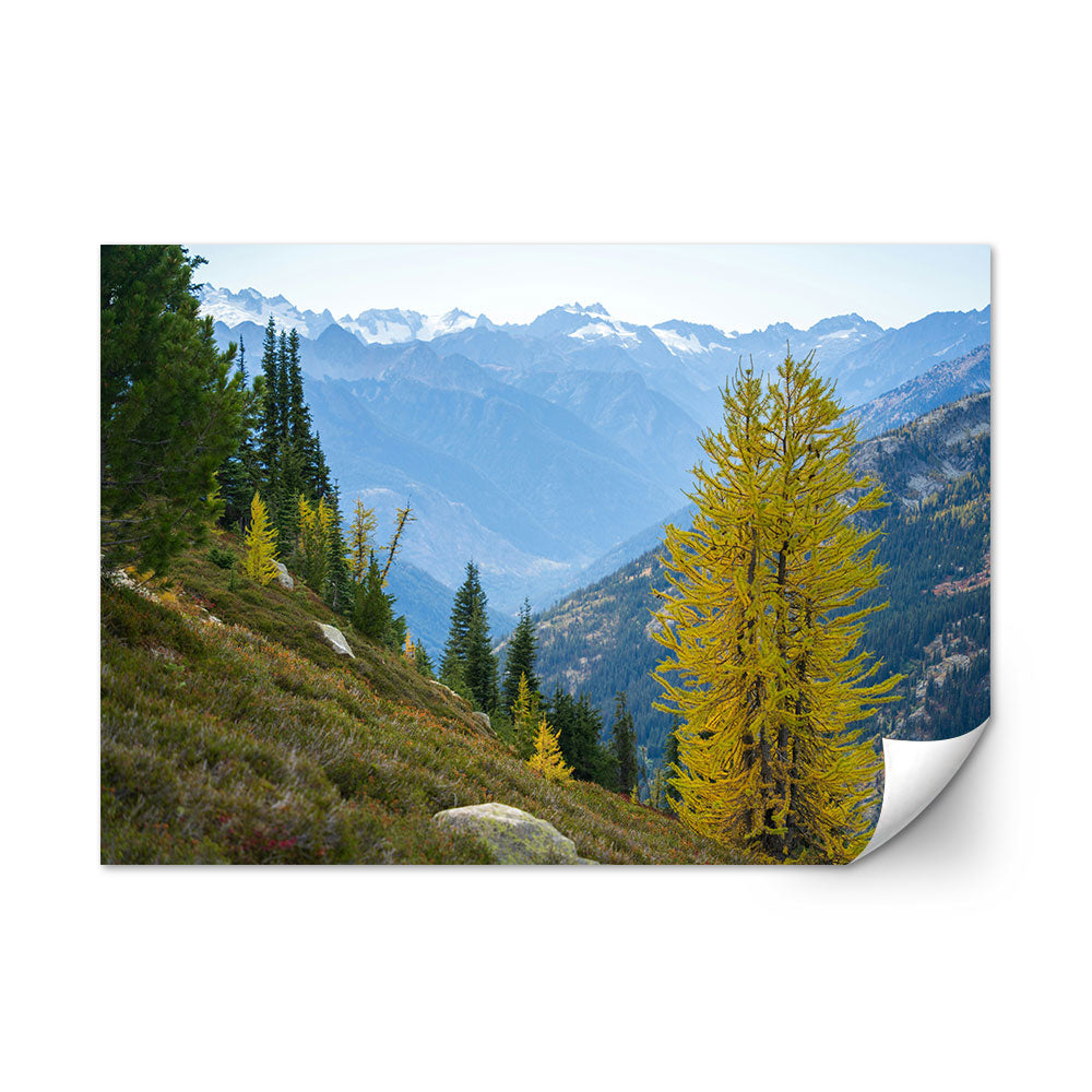 Olympic National Park Wall Art