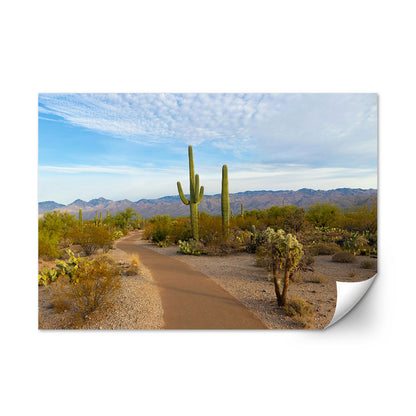 Saguaro National Park Wall Art