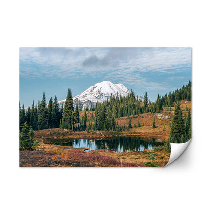 Mount Rainier National Park Wall Art