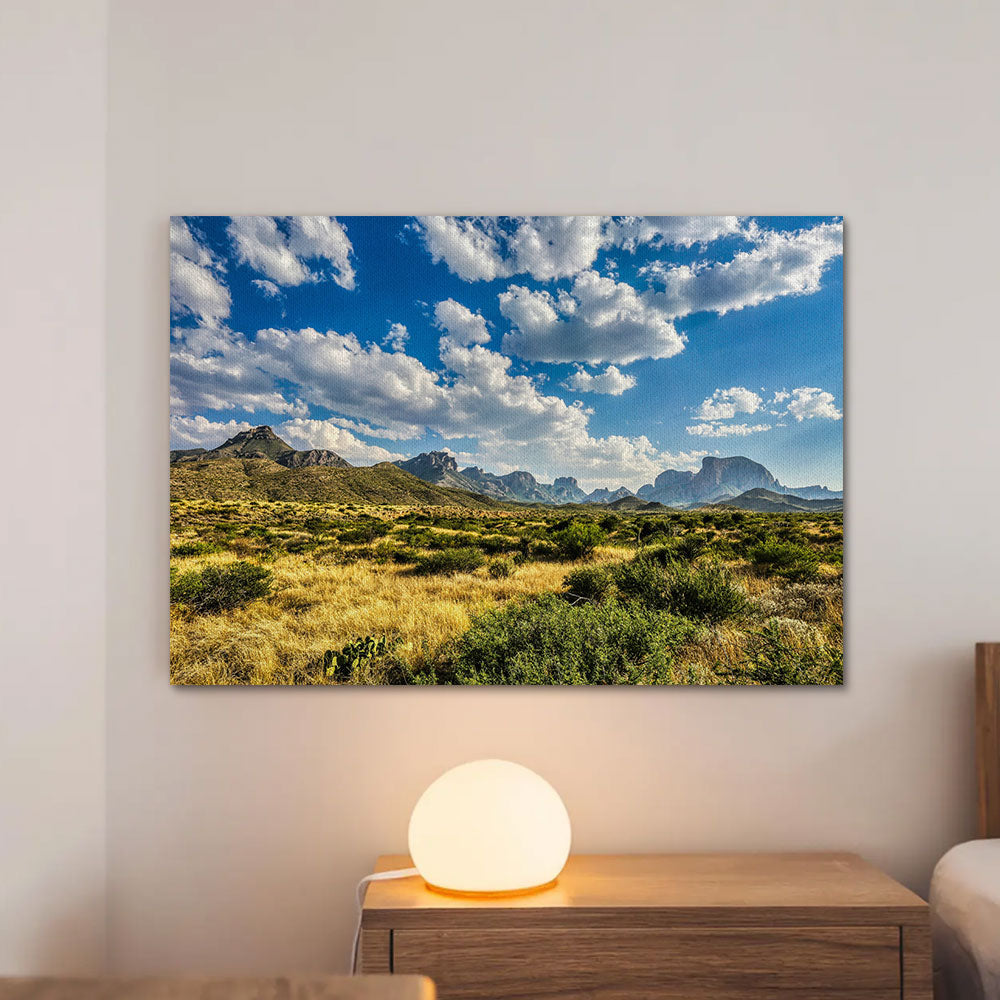 Big Bend National Park Wall Art