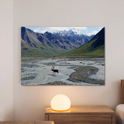 Denali National Park and Preserve Wall Art