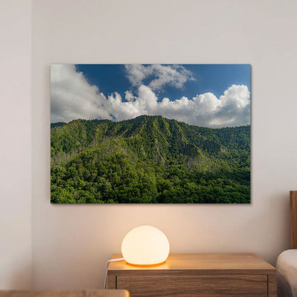 Great Smoky Mountains National Park Wall Art