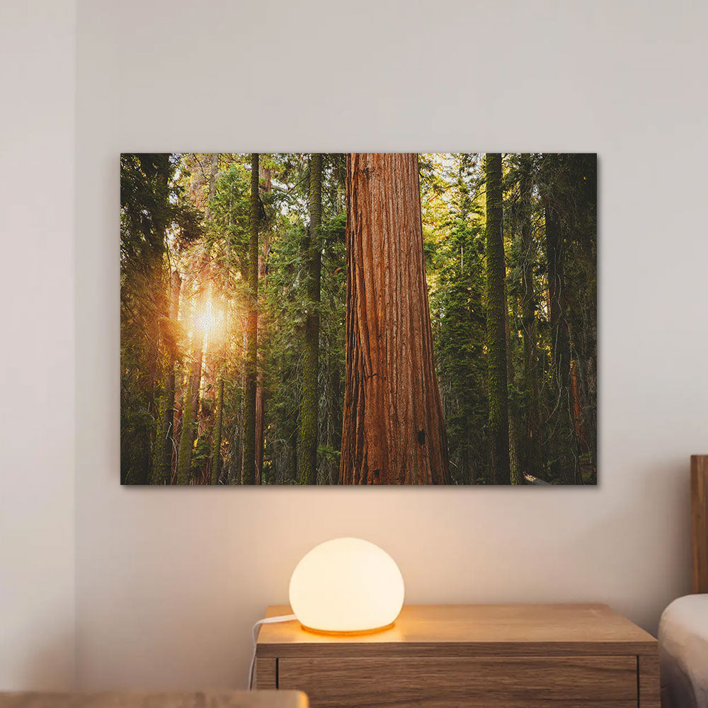 Sequoia National Park Wall Art