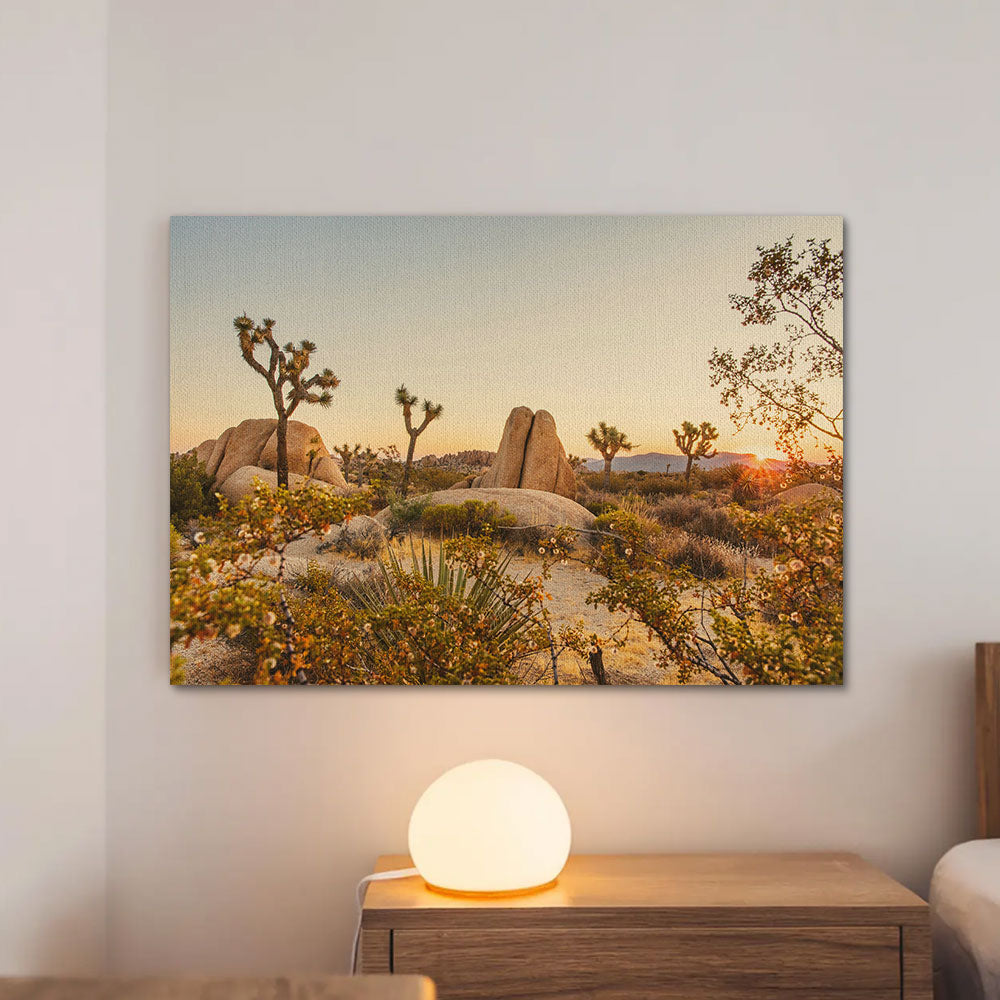 Joshua Tree National Park Wall Art