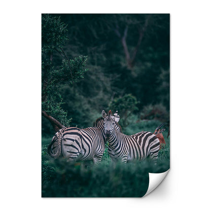 Forest Couple Zebra Wall Art
