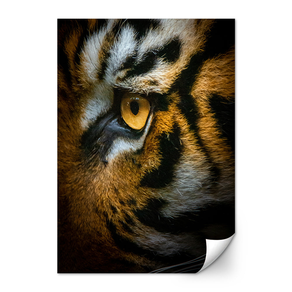 Tiger Eyes Large Wall Art
