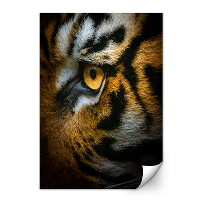 Tiger Eyes Large Wall Art