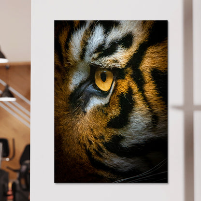 Tiger Eyes Large Wall Art