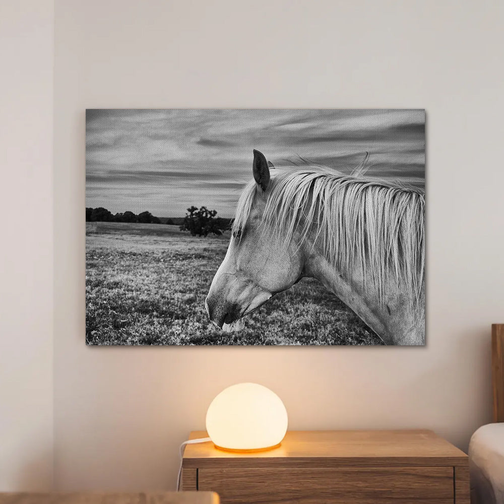 Black White Horse Wall Art