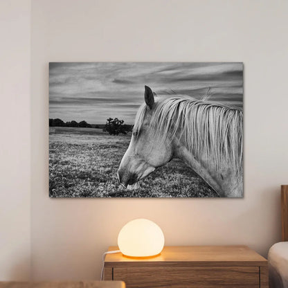 Black White Horse Wall Art