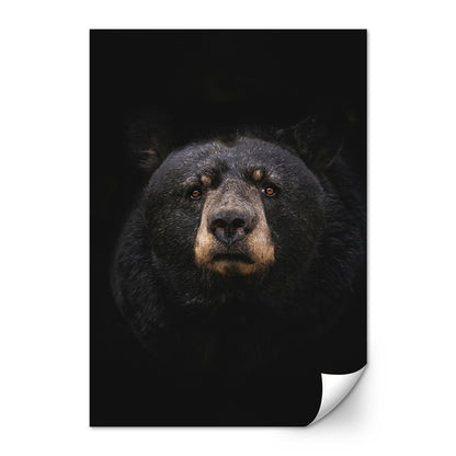 Black Bear Wall Art