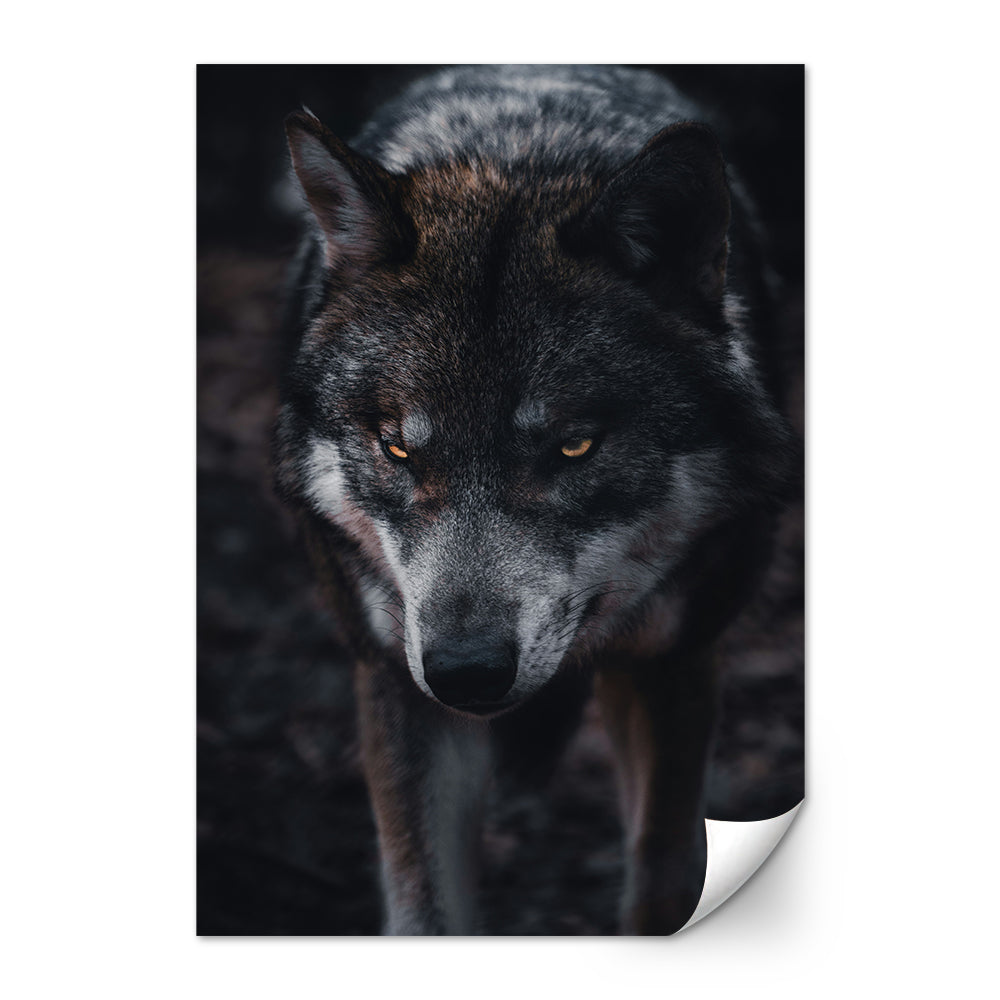The Wolf Large Wall Art