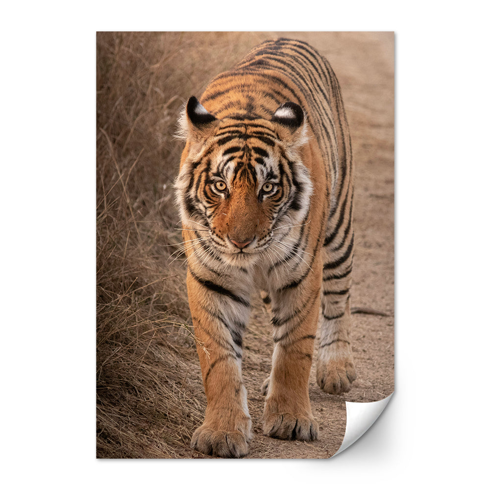 The Tiger Large Wall Art