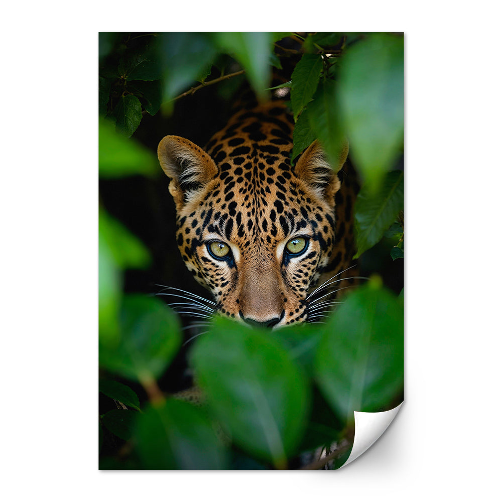 Forest Leopard Large Wall Art