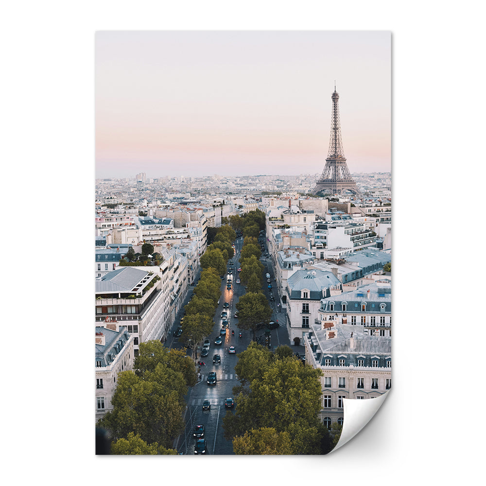 La Vie en Rose Large Wall Art