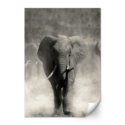 Gray Elephant Wall Art
