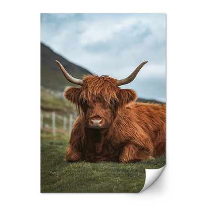 Chill Highland Cow Wall Art