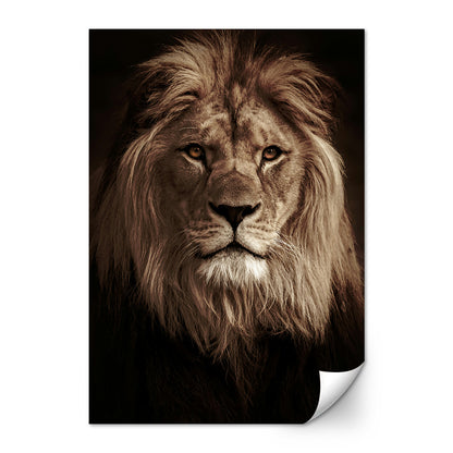 Lion King Large Wall Art
