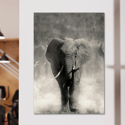 Gray Elephant Wall Art