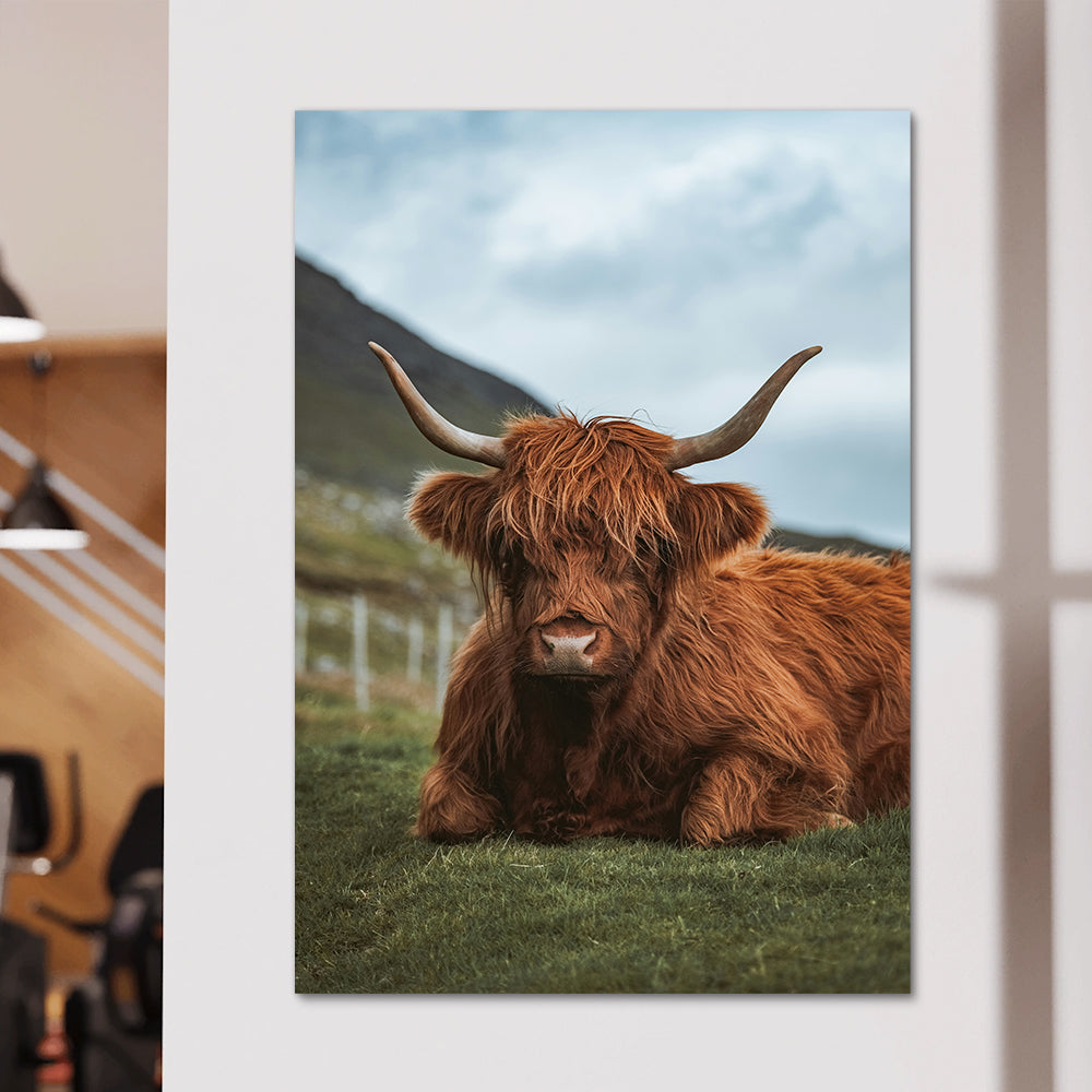 Chill Highland Cow Wall Art