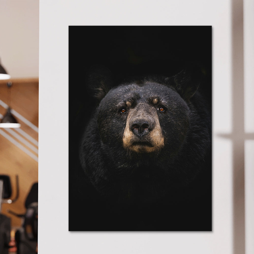 Black Bear Wall Art