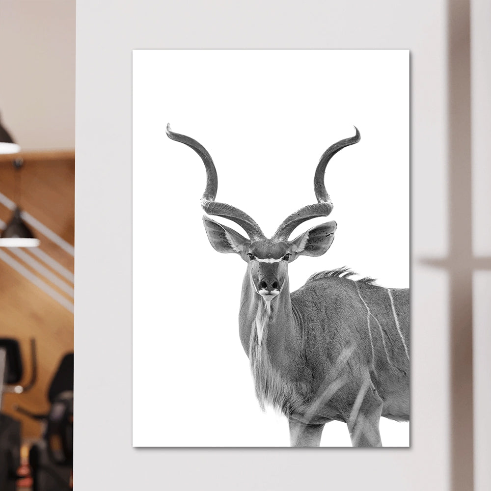 Greater Kudu Wall Art