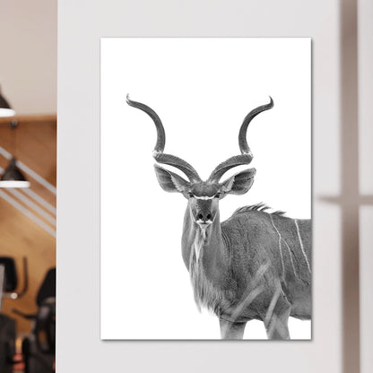 Greater Kudu Wall Art