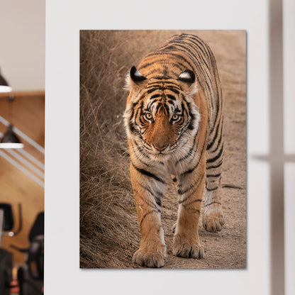 The Tiger Large Wall Art