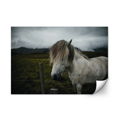 White Horse Wall Art