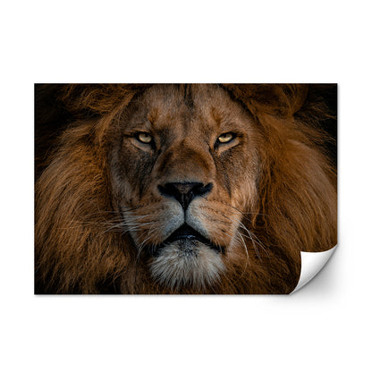 The Lion Large Wall Art