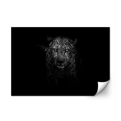 Black & White Leopard Large Wall Art