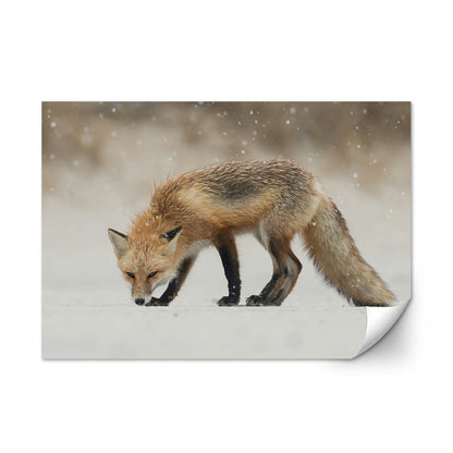 Winter Fox Large Wall Art