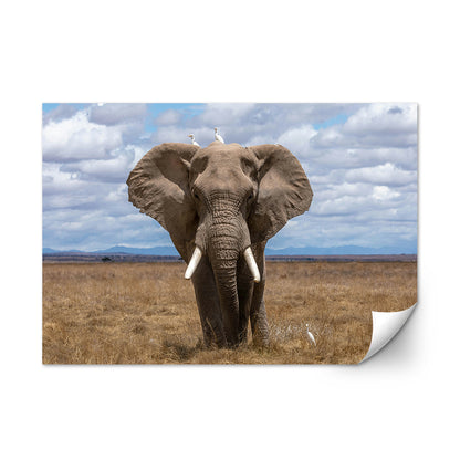 Safari Elephant Wall Art