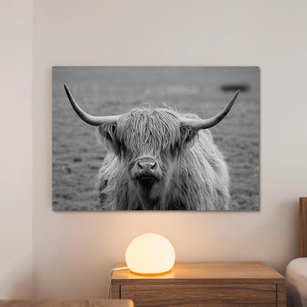 Black White Highland Cow Wall Art