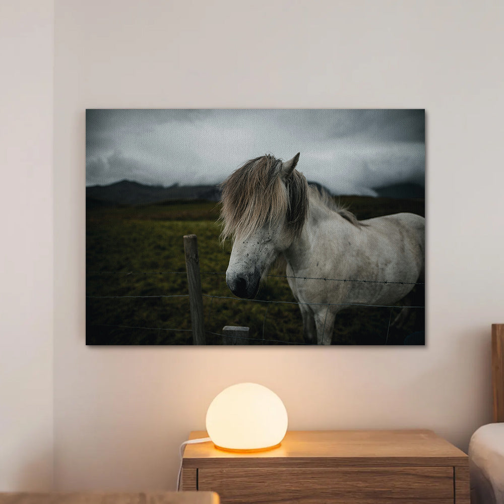 White Horse Wall Art