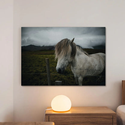 White Horse Wall Art