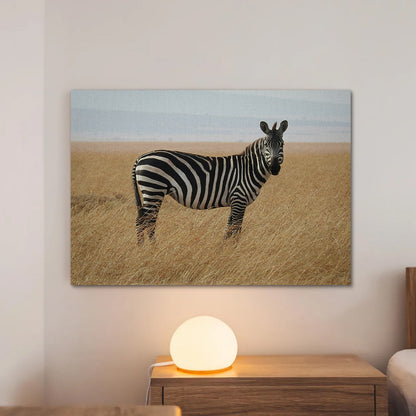 Safari Zebra Wall Art