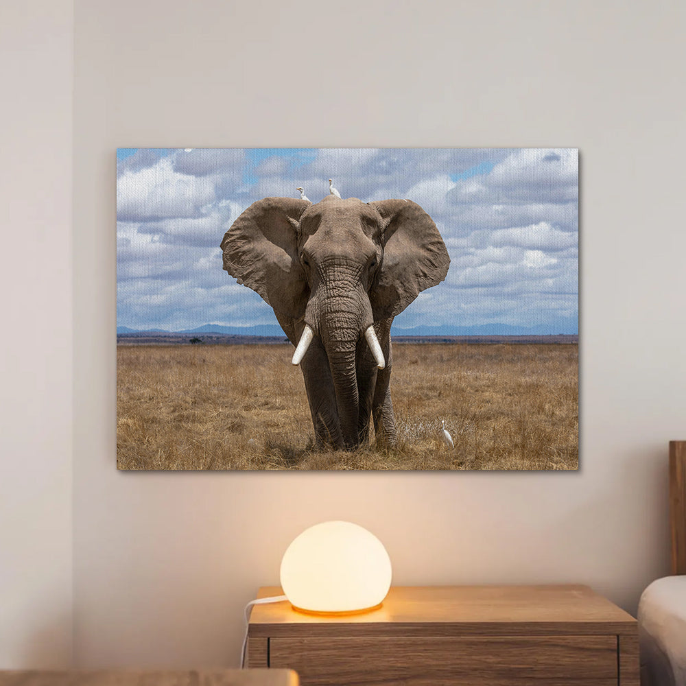 Safari Elephant Wall Art